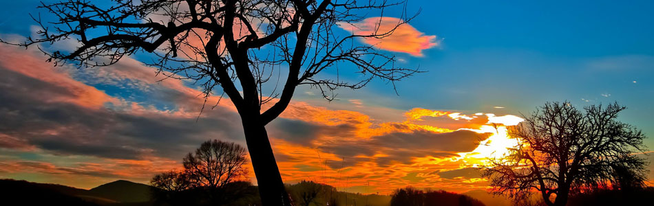 电话轰炸免费在线网站