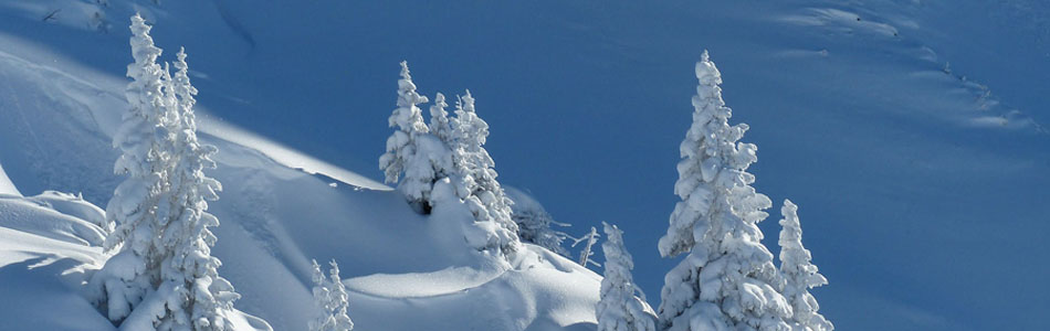 短信测试网站免费