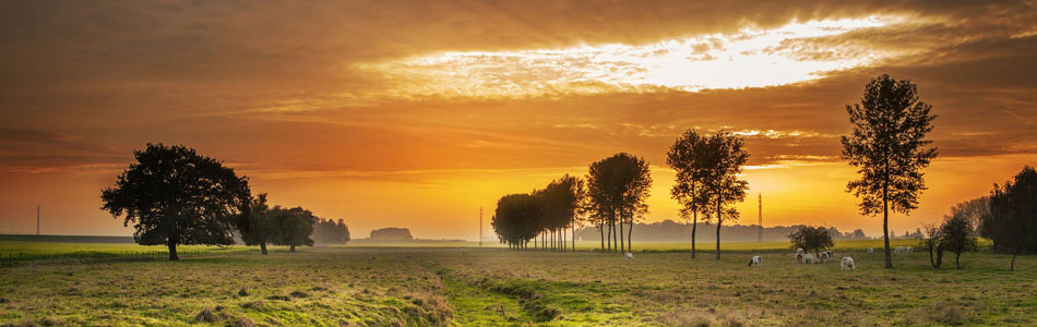 短信测试网站免费